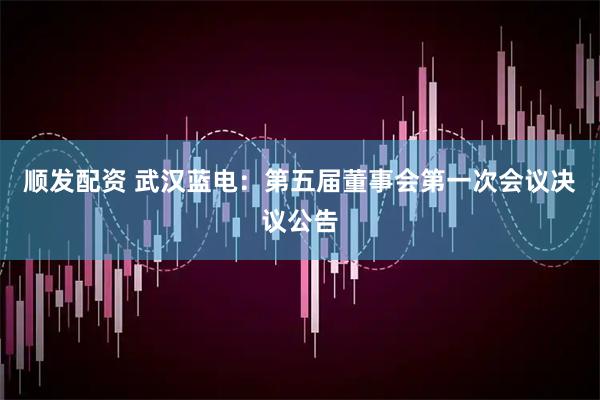 顺发配资 武汉蓝电：第五届董事会第一次会议决议公告