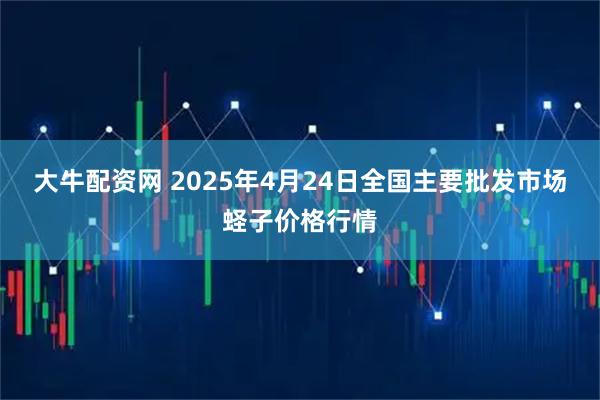 大牛配资网 2025年4月24日全国主要批发市场蛏子价格行情