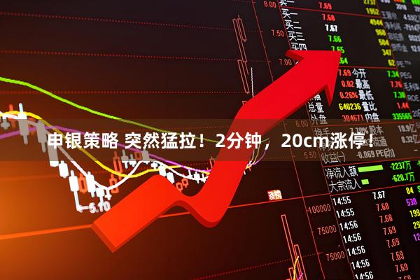申银策略 突然猛拉！2分钟，20cm涨停！