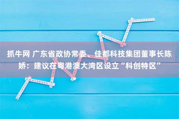 抓牛网 广东省政协常委、佳都科技集团董事长陈娇：建议在粤港澳大湾区设立“科创特区”