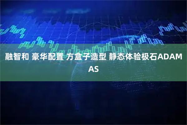 融智和 豪华配置 方盒子造型 静态体验极石ADAMAS