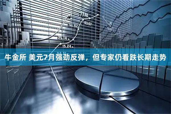 牛金所 美元7月强劲反弹，但专家仍看跌长期走势